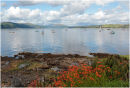 Yachting on the Clyde, off Gourock.