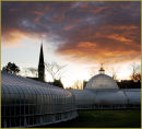 The Kibble Palace, Botanic Gardens