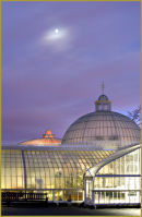 The Kibble Palace, Botanic Gardens