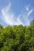 image for article