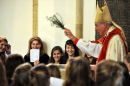 Confirmation 11-126