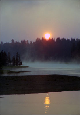 Dawn at Yellowstone