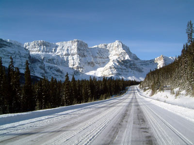 Snowy Landscape
