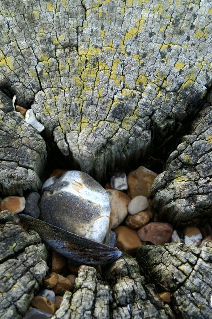 Groin Detail 1
