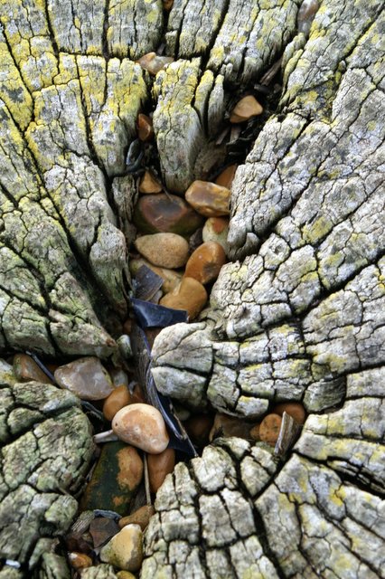 Groin Detail 2