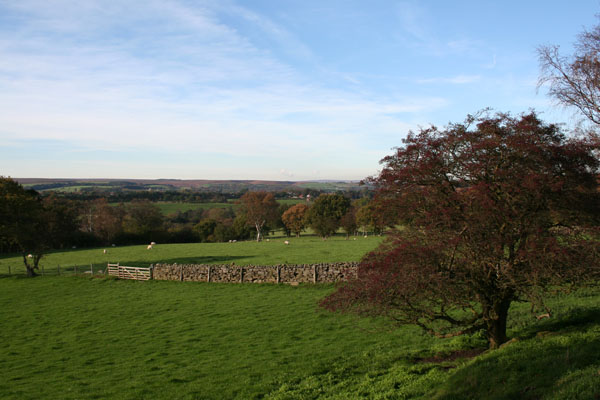 Goathland.