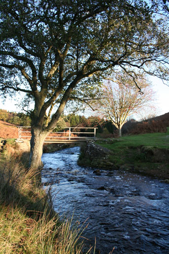 Goathland country