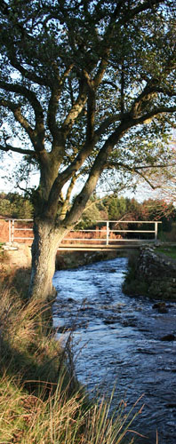 Goathland.