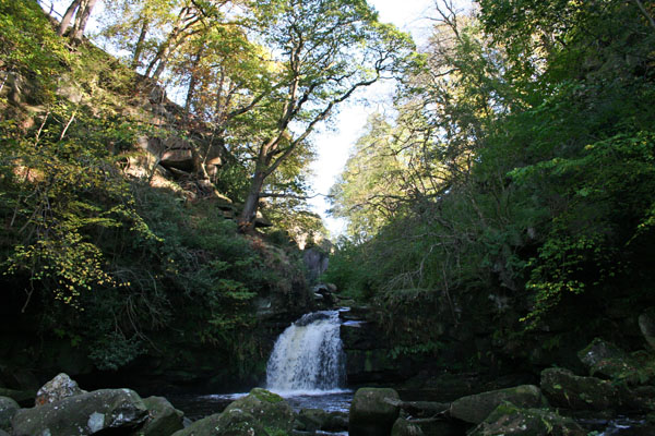 Thomason Force.  