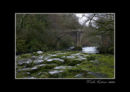 Dartmoor Stream