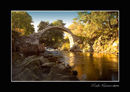 Carrbridge