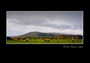 Castlerigg