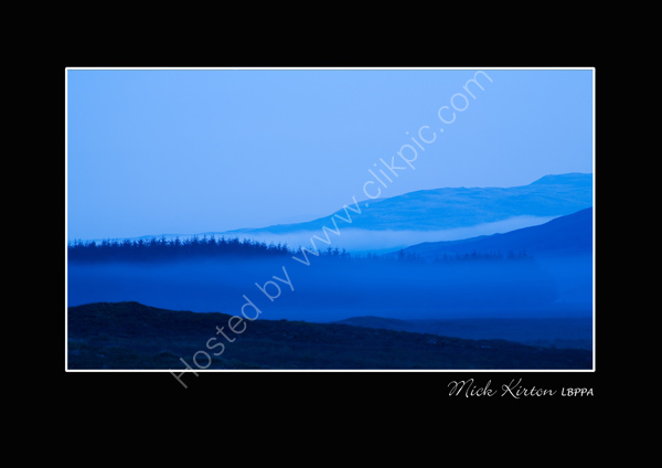 Misty Highland Treetops