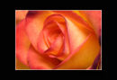 Landscape & Fine Art competition June 2010 - awarded Merit