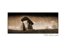 Trevethy Quoit