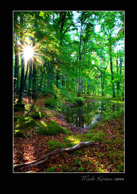 When autumn comes