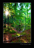 When autumn comes