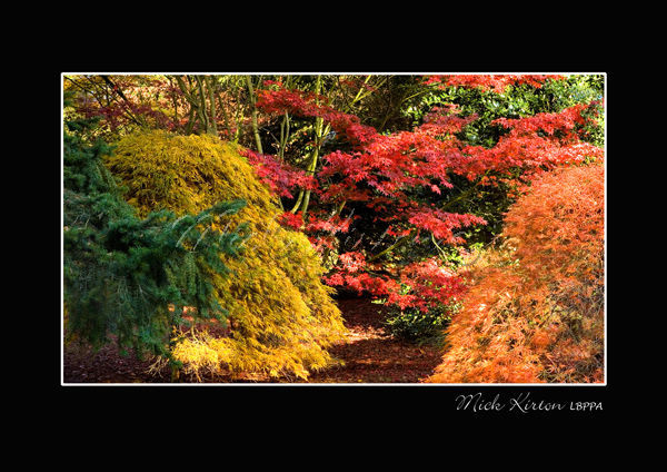 Autumn Colour