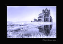 Whitby Abbey