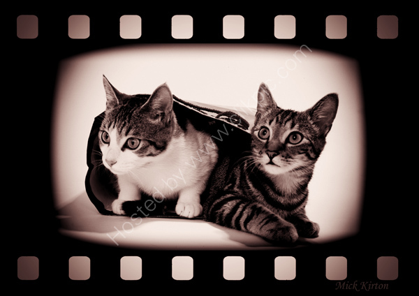 Biffa & Boffa 