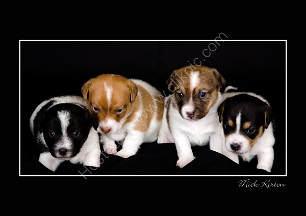 4 of the best!