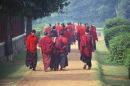 bhuddist monks