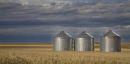 grain silos canada