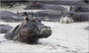 foam bath,tanzania