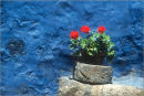 red on blue, peru