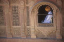 window guard
