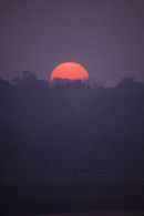 Amazon sunrise, Madre de Dios, Peru