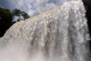 Bosetti waterfall, Iguazu, Argentina
