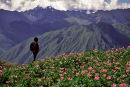 Chinchero view, Cusco, Peru