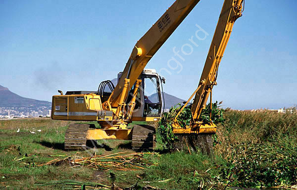 Clearing water hyacinth