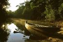 Dawn, Patuyacu River, Peruvian Amazon