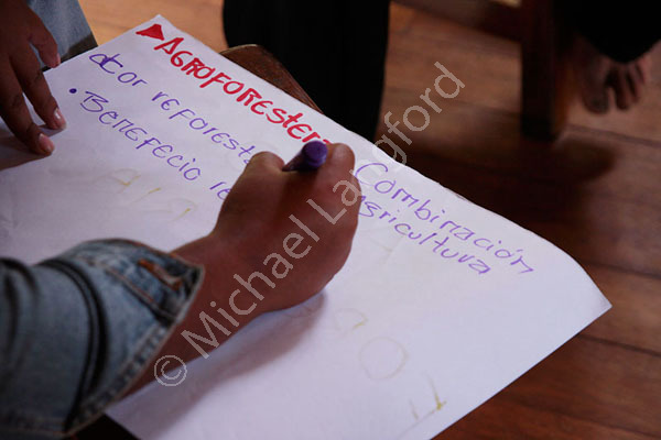 Environmental workshop
