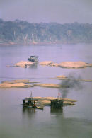 Gold mining, Amazon