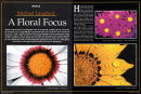Via magazine portfolio & article 01