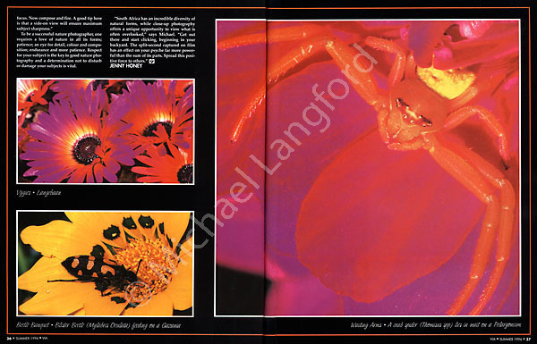 Via magazine portfolio & article 02