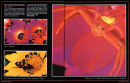 Via magazine portfolio & article 02