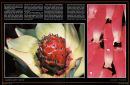 Via magazine portfolio & article 03