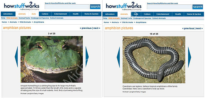 Howstuffworks.com website publications