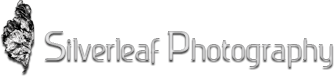 Silverleaf Photography