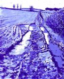 The Muddy Field (24cm x 20cm)