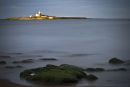 Coquet Island