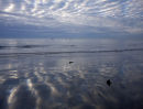 Reflection on Boulmer beach