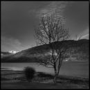 Fort William