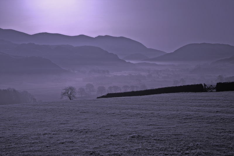 Misty Morn