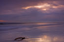 Cresswell Beach