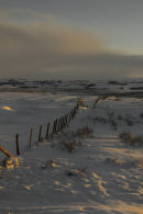 Winter 1